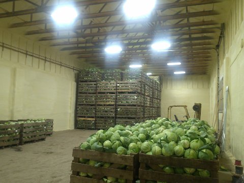 Cold storage building roof with seamless waterproof membrane